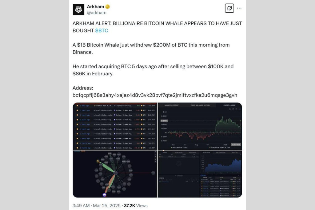Cá voi Bitcoin hoạt động trở lại sau giấc ngủ dài