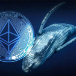 Cá voi Ethereum mất hơn 100 triệu USD khi giá giảm mạnh