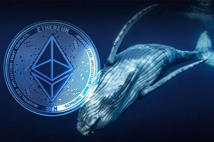 Cá voi Ethereum mất hơn 100 triệu USD khi giá giảm mạnh