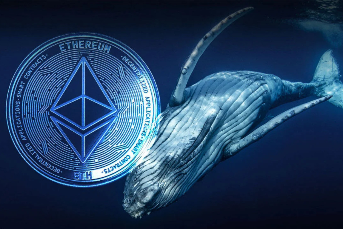 Cá voi Ethereum mất hơn 100 triệu USD khi giá giảm mạnh