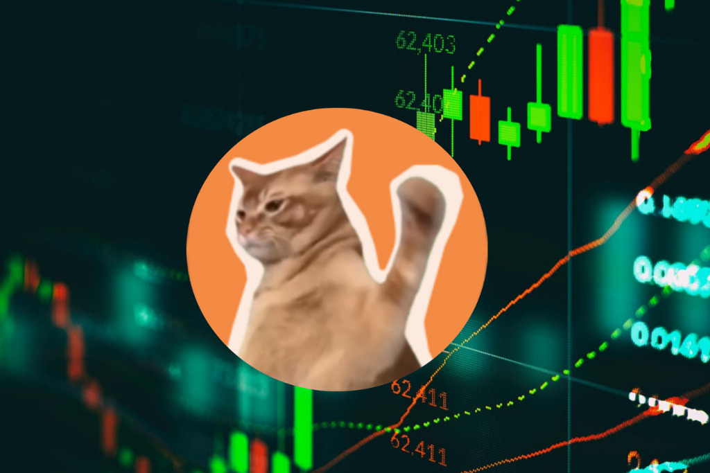 Catslap (SLAP) là gì?