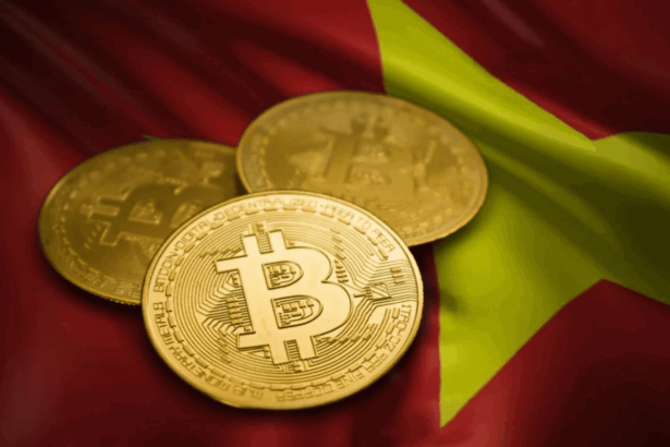 Chơi tiền ảo liệu có phạm pháp tại Việt Nam