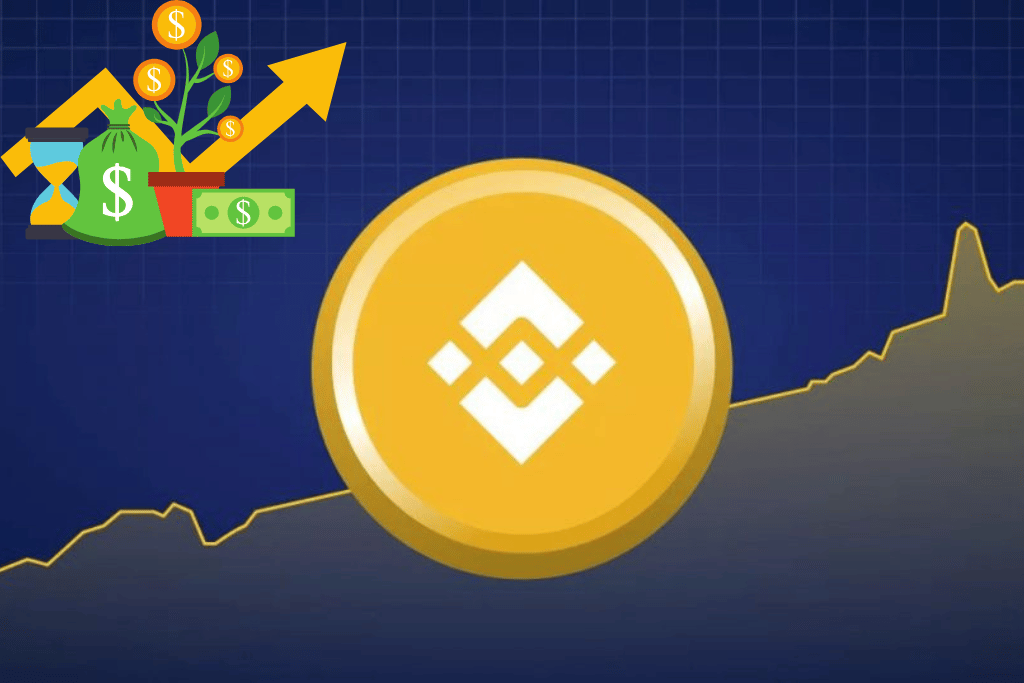 Đồng BNB có tiềm năng trong năm 2025 không?