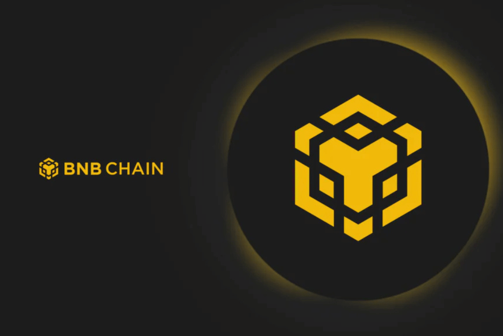 Hệ sinh thái BNB Chain năm 2025 gồm những gì?
