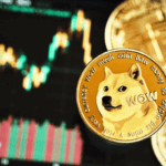 Những cột mốc đáng nhớ trong hành trình Dogecoin
