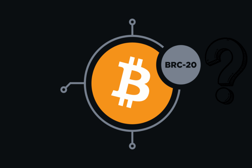 Token BRC-20 là gì? Tìm hiểu tiêu chuẩn token của blockchain Bitcoin