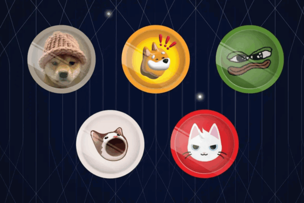Top coin hệ Solana năm 2025 tiềm năng đáng đầu tư nhất 