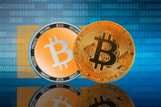 Bitcoin và Bitcoin Cash: Phân biệt giữa đồng BCH VÀ BTC 