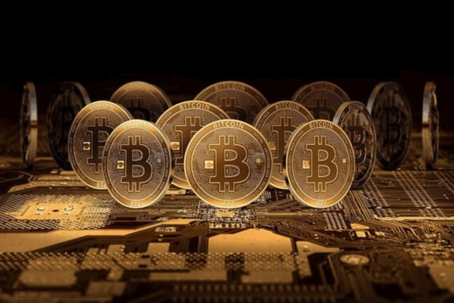 Hướng dẫn cách chơi Bitcoin cho người mới năm 2025